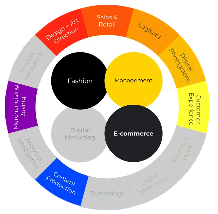 Fashion Ecommerce Certification Competence Model and Skills acquired